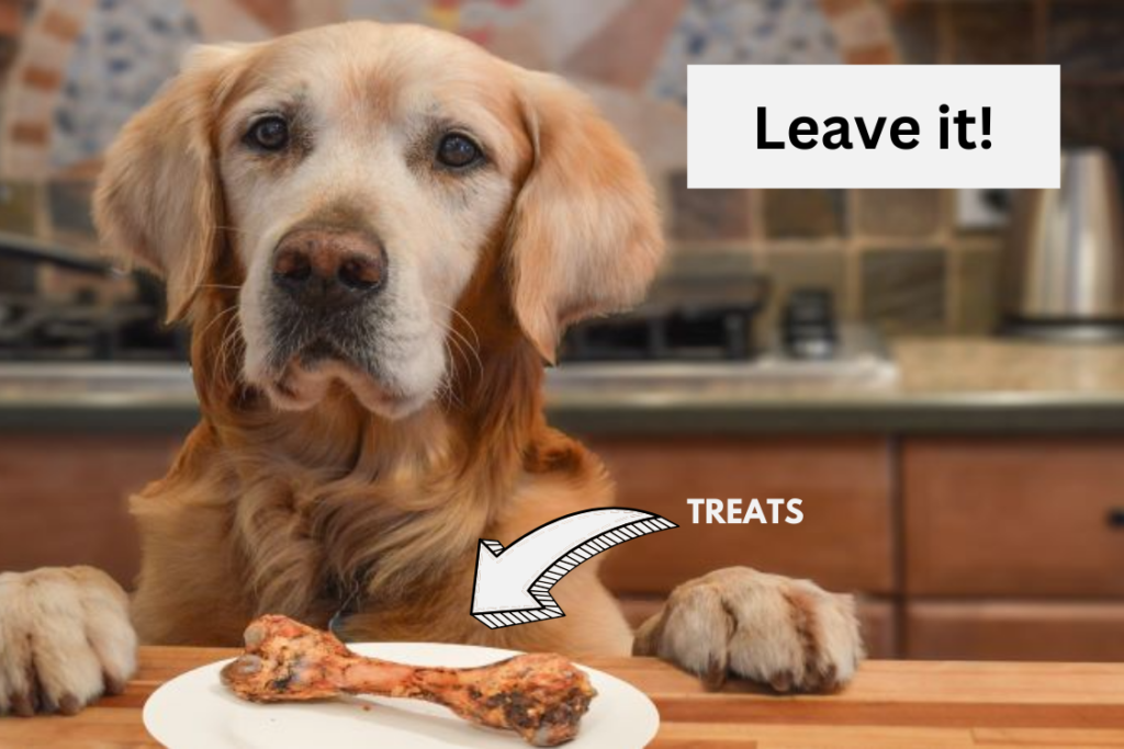 Leave It Command How to Stop Food Aggression in Dogs: 5 Effective Methods – Furry Pet World