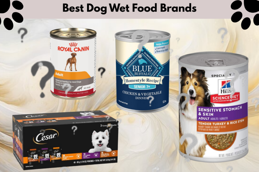 top-4-best-dog-wet-food-brands-for-picky-eaters-sensitive-stomachs