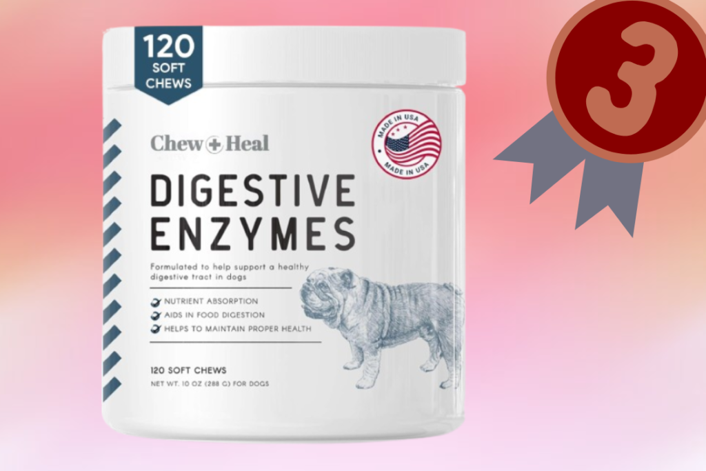 Top 4 Dog Digestive Enzymes for Better Gut Health – Furry Pet World